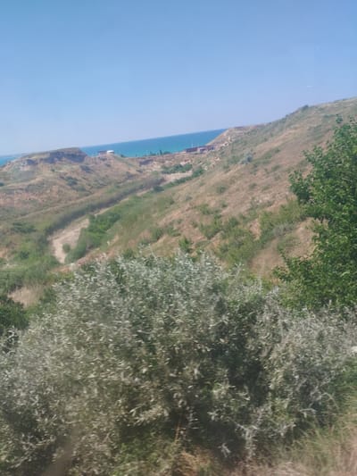 This media file depicts a serene natural landscape with a focus on a rolling hillside leading down to a body of water. The foreground is dominated by lush, green foliage, appearing to be trees and bushes, some with silvery-green leaves. The middle ground shows a dry, grassy hillside with scattered patches of green vegetation, suggesting a warm climate. The terrain is uneven, with some gulleys and terraced slopes, hinting at past human activity or natural erosion.

In the distance, the bright blue of the sea or a large lake is visible under a clear, cloudless sky. The horizon line is sharp, indicating good visibility and likely fair weather. There are some man-made structures visible on the distant hillside, including what appears to be a small building or a cluster of buildings. These structures are small in the frame, emphasizing the vastness of the natural setting. A few thin poles, possibly utility poles or markers, are also discernible near the coastline.

The overall impression is one of a sunny day, likely midday or early afternoon, given the brightness of the sky and the sharp shadows that would be present. The location appears to be a coastal or lakeside area, possibly in a rural or semi-rural part of Ullubiiaul, Russia, as suggested by the natural environment and the type of vegetation. There is no discernible activity or event taking place; the scene is static, capturing a moment of natural beauty. The emotions evoked are calmness and tranquility, due to the expansive view and the peaceful atmosphere. No text is visible in the image.