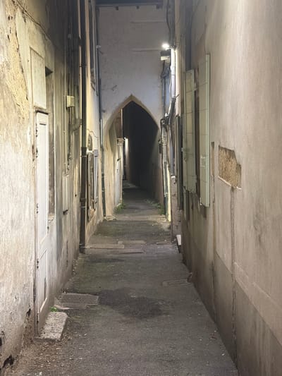 The image shows a narrow, dimly lit alleyway in the city of Vienne, France. The alley is lined with aged, textured walls of buildings, with some appearing to be made of stone and plaster. There are several windows with shutters and doors visible along the sides of the alley. The ground is paved with asphalt. The alley recedes into darkness at the far end, where an arched opening is visible. A street lamp is mounted on the wall on the right side of the alley, illuminating a portion of the space. There are no people visible in the image. The overall impression is one of a quiet, somewhat neglected urban passage.