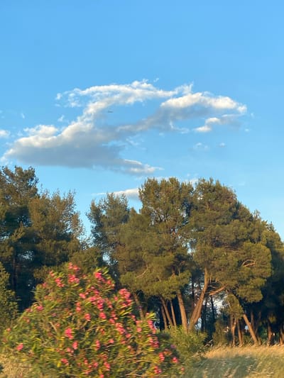 A landscape scene displays a vivid blue sky occupied by elongated white clouds. To the right, an array of green trees and vegetation stands, with pink blossoms visible near the lower right corner. The setting is Goričani, Montenegro.