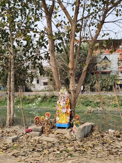 A collection of Hindu statues sits at the base of a tree next to a stagnant body of water. The central statue, adorned with yellow and orange garments and colorful garlands, is elevated on a blue platform. Smaller, more simply adorned statues surround it. Fallen leaves cover the ground around the statues and the water's edge. Across the water, there's a road with some buildings in the background and a pedestrian walking on the sidewalk. Bamboo poles are resting against the embankment behind the statues.