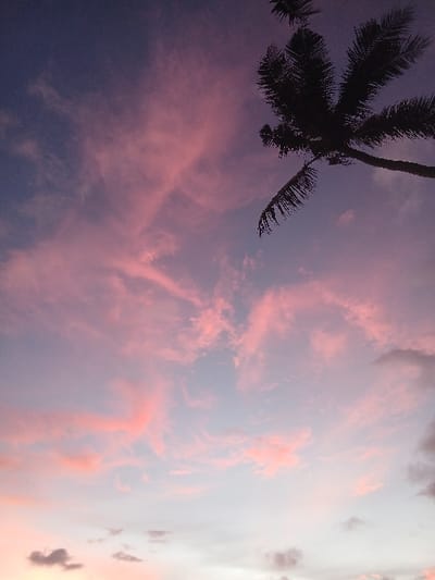 The scene depicts an outdoor environment in Tibubiyu, Indonesia, during crepuscular hours. The sky is largely covered by cloud formations, exhibiting a color gradient from deep purple and magenta at the top, transitioning through various shades of pink and light blue, to lighter grey and white near the lower horizon. A single palm tree (Arecaceae family) is silhouetted against the upper right quadrant of the sky, with its dark fronds extending into the frame. No human subjects, animals, structures, or artificial objects are present.