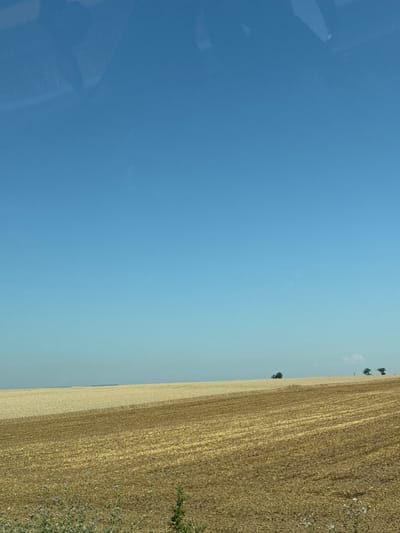 A vast field, recently harvested, stretches across the right side of the image. Faint rows suggest the direction of cultivation. Sparse vegetation borders the field's edge. A few isolated trees dot the horizon. The sky dominates the left side, transitioning from a deep blue to a lighter hue near the horizon. A partial reflection, likely from a window, appears in the lower-left corner.