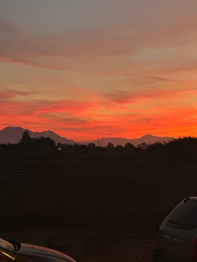 A horizontal landscape image captures a vibrant sunset or sunrise over a rural or semi-rural setting in Los Palacios, Spain. The sky dominates the left and central portions, painted in dramatic hues of orange, pink, and yellow, with clouds stretching horizontally across.
In the mid-ground, a range of mountains or hills appears in silhouette against the colorful sky, their peaks forming a jagged horizon line. Below the mountains, various trees and vegetation are also visible as dark silhouettes. A few tall, slender poles (possibly utility poles) can be seen extending vertically in the mid-ground.
The foreground and right side of the image are largely dark, suggesting they are in shadow. Parts of two vehicles are present on the right edge: one in the upper right corner shows the rear portion of a light-colored car, while another is partially visible in the bottom right corner. The ground in the foreground appears dark and unpaved.
The notable details include the time of day, clearly either dawn or dusk, indicated by the brilliant colors of the sky and the deep shadows elsewhere. The weather appears clear, allowing for the striking light display. On the rear of the car in the upper right, partially visible text on a license plate appears to read "P 726 UYU" or similar.