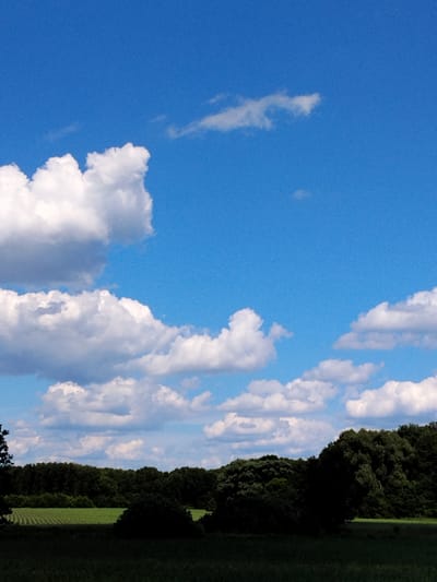 The image depicts a bright, sunny day with a vibrant blue sky dotted with fluffy white clouds. In the foreground, a dark, shadowed area suggests a field or lawn. Beyond this, a neatly planted green field with visible rows stretches towards a dense line of dark green trees that form a forest along the horizon. The overall scene is peaceful and natural, with no people or structures visible. The location is the outskirts of Matyashivka, Ukraine.