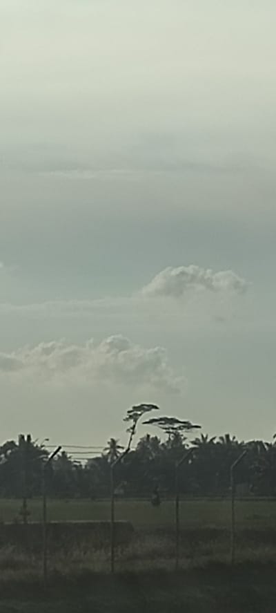 The image presents a view of a landscape in Keudenibong, Indonesia, under a cloudy sky. The middle ground features a line of utility poles and a dense collection of trees, including palms. In the background, there are clusters of cumulus clouds. The foreground shows a fence and fields. No individuals or significant interactions are directly observable in the frame. The overall environment has a subdued, grey tone.