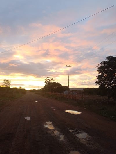 The image depicts a serene rural landscape at either sunrise or sunset in El Samán, Venezuela. An unpaved dirt road, showing tire tracks and several puddles, stretches from the foreground into the distance, gently curving to the left. These puddles brilliantly reflect the vivid colors of the sky.

The sky is a prominent feature, painted with warm hues of orange, pink, and yellow, transitioning into lighter blues at the top, indicating the sun is low on the horizon. Clouds are scattered across the sky, catching the light and enhancing the dramatic atmosphere.

Dense, dark-leafed trees line both sides of the road. On the left, trees are largely silhouetted against the bright horizon. On the right, a tall wooden utility pole with crossarms and insulators stands beside the road, with power lines extending across the upper part of the frame. A rustic wooden fence also runs along the right side of the road, separating it from more vegetation and a glimpse of distant, modest structures through the trees.

The foreground, including the road and immediate vegetation, appears darker due to the low light, contrasting with the luminous sky. There is no visible activity, and no people, animals, or text are present, contributing to the tranquil and untouched feel of the scene. The presence of puddles suggests recent rain.