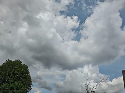 This is a photograph taken from a low angle looking up at a cloudy sky, with the tops of trees and a building visible at the bottom. The sky is filled with a variety of clouds, ranging from dark, heavy storm clouds to bright, fluffy white ones. Patches of blue sky are visible through the clouds, suggesting the clouds are breaking up or that it is a partly cloudy day.
In the lower left of the frame, the dense green foliage of a large tree dominates the scene. To the right of the tree, a bare, silhouetted tree with thin branches extends upwards into the sky. In the far right of the frame, the corner of a building with a reddish-brown roof is visible. A tiny bird can be seen flying in the sky between the clouds.
The lighting suggests it is daytime, likely afternoon given the mix of light and dark clouds. The atmosphere appears somewhat dramatic due to the presence of storm clouds, but the patches of blue sky and the green tree indicate that it is not actively raining. The location context provided is Kirzhach, Russia. No text is visible in the image.