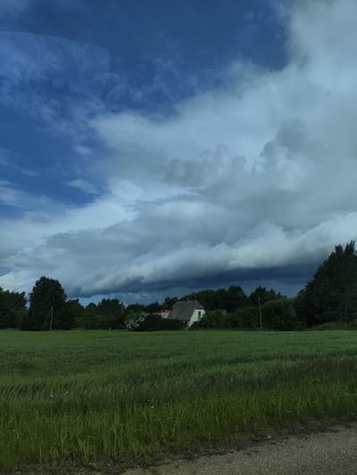 The image shows a vast, green field under a dramatic sky filled with dark, heavy clouds. In the distance, a white house with a red roof peeks out from behind a line of dense green trees. The field appears to be a cultivated crop, possibly wheat or barley, with taller grasses in the foreground. The sky transitions from a bright blue on the left to an ominous dark gray on the right, suggesting an impending storm. The overall impression is one of a rural landscape on the brink of changing weather.