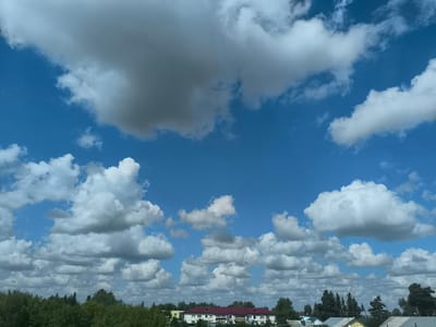 The image depicts a daytime view of the sky above Sargatskoye, Russia, featuring a mix of white and dark clouds against a bright blue sky. Below the sky, a dense line of green trees stretches across the horizon, obscuring much of the ground. Visible above the treeline are the rooftops of several buildings, including a long, white structure with a red roof and smaller houses with metal roofs. The scene is devoid of any visible people or animals, and no specific actions or interactions are evident. The environment appears to be a semi-rural or suburban area, with a focus on natural elements and residential architecture.