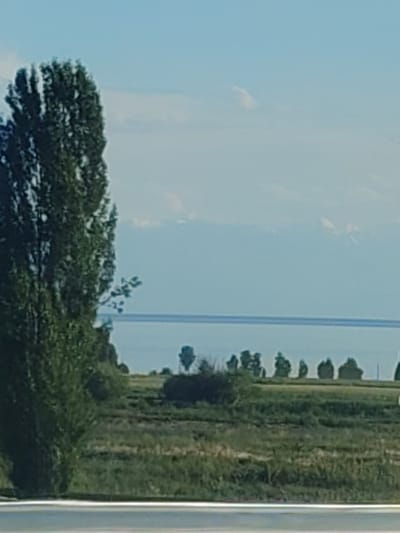 This media file captures a serene landscape scene. In the foreground, a tall, dark green tree dominates the left side of the frame, its dense foliage creating a strong vertical element. Behind the tree, a vast expanse of water stretches across the mid-ground, appearing calm and reflecting the pale blue of the sky. In the distance, a range of mountains, possibly snow-capped, is faintly visible through a hazy atmosphere.
The mid-ground also features a gently sloping green field with scattered trees and shrubs. The vegetation appears lush and healthy, suggesting a pleasant climate. The overall impression is one of natural beauty and tranquility.
The time of day appears to be daytime, likely late morning or afternoon, given the bright, diffused light and the blue sky. The weather seems fair and clear, with only a few wispy clouds present. The location cues, such as the mountains and the vast body of water, along with the specific location context of Temir, Kyrgyzstan, suggest a natural, possibly rural or semi-rural setting within that region. There are no people or specific objects of note, and no text is visible in the image. The overall mood conveyed is peaceful and contemplative.