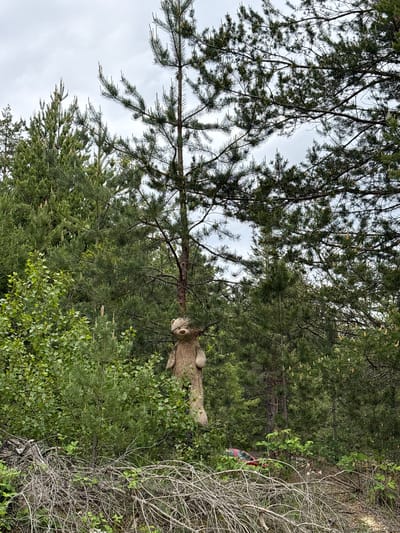 The scene is outdoors, likely in a wooded area. Dense green foliage fills much of the frame. A stuffed animal, resembling a deer or similar ungulate, is positioned at eye-level amongst the trees. The sky is overcast. Location cannot be confirmed as Dolno Drianovo, Bulgaria.