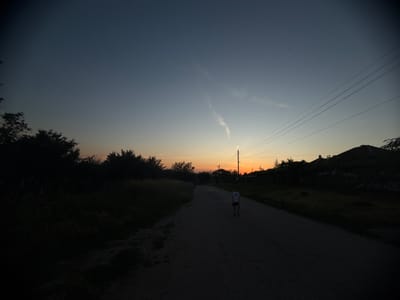 The image depicts a twilight scene on a rural road, likely in or near Septemvritzi, Bulgaria. The sky transitions from a deep blue at the top to a pale orange and yellow near the horizon, indicating the sun has recently set. A single, thin contrail is visible in the upper portion of the sky. Power lines stretch across the frame horizontally. On the right side of the road, silhouetted houses and trees are visible against the darkening sky. On the left, a dense line of trees and tall grass creates a dark, shadowed foreground. A single individual, appearing to be a young person wearing a light-colored t-shirt and dark shorts, is walking away from the camera on the asphalt road. The road itself shows signs of wear and tear. The overall atmosphere is serene and quiet, characteristic of a rural evening.