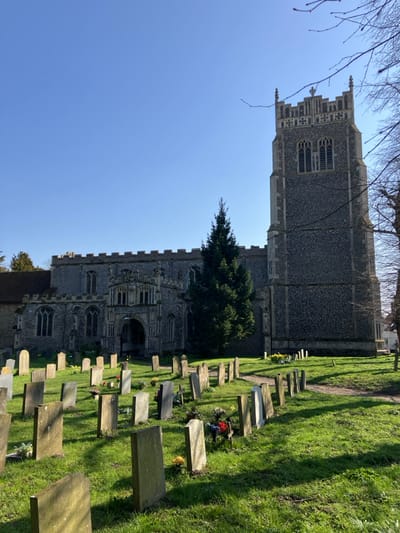 The image captures St Mary's Church in Woolpit, Mid Suffolk, United Kingdom, under a clear, bright blue sky. The prominent subject is a large, grey stone church, characterized by its tall, square Perpendicular Gothic tower on the right, featuring multiple stages, crenellated battlements, and corner pinnacles. The church's main body, visible to the left of the tower, includes a highly ornate, two-story entrance porch with intricate carvings and arched openings. The structure is built from flint and ashlar stone, exhibiting numerous arched Gothic windows along its walls.
In the midground and foreground, a well-maintained green grass churchyard extends, densely populated with numerous upright, rectangular, weathered stone gravestones. These gravestones are arranged in discernible rows and lines, suggesting pathways. Several gravestones feature small floral arrangements, including yellow daffodils and other colored blooms, placed at their bases. Small crosses are also visible near some markers. A large, dark green conical evergreen tree stands beside the church's nave, to the left of the tower. Bare, leafless deciduous tree branches are visible along the far right edge of the frame, partially obscuring the church tower. Bright sunlight illuminates the scene, casting distinct, elongated shadows from the gravestones and trees across the grassy ground. No individuals are present within the frame.