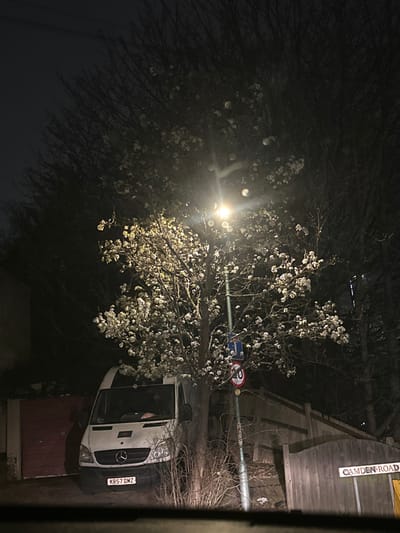 The scene depicts a nighttime view on Camden Road in Gillingham, United Kingdom. A prominent street light, centrally positioned and emitting a bright yellow-white glow, illuminates a leafless deciduous tree, causing its numerous small, light-colored blossoms or buds to appear white against the dark sky. Lens flares or light refractions are visible around the street lamp, suggesting atmospheric moisture or conditions on the camera lens.
Parked to the left of the tree is a white Mercedes-Benz Sprinter van, facing forward. Its license plate, KR57 DMZ, is legible. The van's front grille, headlights, and windshield are visible, with the driver's seat area appearing vacant or obscured. Behind the van, a section of a building with a reddish-brown garage door is partially discernible.
Attached to the street light pole are two circular road signs: an upper blue rectangular sign with white text/symbol (partially obscured) and a lower red-bordered white sign depicting a black bicycle with a red diagonal line through it, indicating "No Cycling." To the lower right, a rectangular white street sign on a dark pole clearly displays "CAMDEN ROAD."
To the right of the street light and tree, a wooden fence runs along an elevated embankment or property line. The ground at the base of the tree and pole features sparse dry vegetation and some debris. The immediate foreground is dark and slightly blurred, suggesting the image was captured from inside a vehicle. No people are visible in the scene, and no overt actions or interactions are occurring.