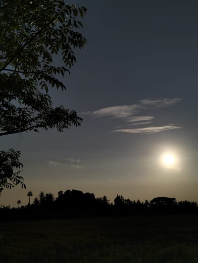 The image captures a twilight scene in a rural area, possibly Uleegajah, Indonesia. The sky is a gradient of dark blue at the top, fading to a lighter, hazy yellow near the horizon. A bright, luminous sun is positioned in the upper right quadrant of the sky, casting a warm glow. Thin, wispy clouds are scattered across the sky.
In the foreground, the silhouette of a tree with lush foliage occupies the upper left portion of the frame. Below the sky, a dark silhouette of a treeline forms the horizon. Within this treeline, several distinct shapes are visible. On the far left, there are what appear to be tall, slender trees. Towards the center, the rounded dome of a building, possibly a mosque, is discernible. Further to the right, denser foliage creates an unbroken dark mass.
Below the treeline is a dark field, the texture of which suggests vegetation, possibly crops. The overall impression is one of a peaceful, rural landscape at dusk. There are no people or animals visible in the image. The light conditions indicate either sunrise or sunset.