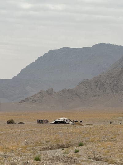 This is a wide shot of a desolate landscape in Bostan, Pakistan, under an overcast sky. In the foreground, the ground is a mixture of dry, rocky soil with sparse, yellowed grass and a small trench running horizontally across the frame. In the middle ground, several makeshift structures are visible. To the left, there are two small huts made of what appears to be dried grass or hay, with a small pile of dark earth next to them. To the right of these, there are two more structures: one is a covered area with a white tarp stretched over supports, and another is a more robust shelter constructed from woven mats or fabric. Several dark figures, presumably people, are standing near these shelters, and there are also a few animals, including what appear to be goats or sheep, and a dog. In the background, a series of imposing, barren mountains rise up, their rocky slopes shrouded in a hazy, muted gray. The overall impression is one of a rugged, remote, and sparsely populated environment.