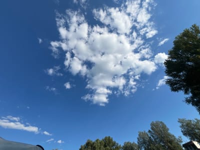 The image depicts a bright, clear blue sky filled with scattered white cumulus clouds. The perspective is upward-looking, showcasing the vastness of the sky. In the lower right and far right edges of the frame, the dark green foliage of tall trees is visible, obscuring parts of the sky and suggesting they are located in the foreground or immediate vicinity. Along the very bottom edge, a dark, curved object, possibly the roof of a vehicle or structure, is partially visible on the left. The scene appears to be an outdoor environment, likely in a suburban or natural setting, given the presence of trees and the open sky. The lighting suggests it is daytime, with the sun likely high in the sky, creating a well-illuminated scene. The location is identified as Vadul lui Vodă, Moldova.