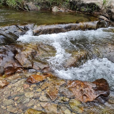This is a close-up, eye-level, medium shot of a shallow river or stream flowing over rocks. The water is clear and slightly greenish, with white foam and ripples where it cascades over a rocky ledge in the center of the frame. The rocks are of various sizes and colors, from dark brown to tan and gray, with some covered in moss. The riverbed is also visible, filled with smaller stones. On the left side of the upper portion of the image, there is some green grass and dry reeds growing along the bank, with larger rocks behind them. The overall scene depicts a natural, tranquil environment.