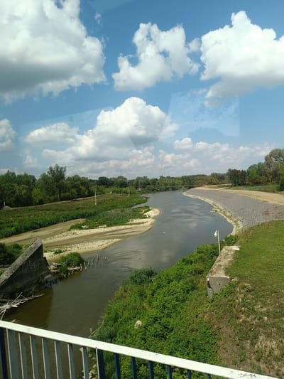 The image depicts a scenic view of a river flowing through a natural landscape, possibly in Terespol, Poland, given the context. The sky is bright blue with scattered white, fluffy clouds. The river is wide and dark, reflecting the sky. On the left bank, there are sandy areas and lush green vegetation, with remnants of a concrete structure jutting out into the water. The right bank is lined with a gravel embankment and more green grass. Trees form a dense backdrop along both sides of the river in the distance. In the foreground, a white railing with blue and silver accents suggests the viewpoint is from a bridge or elevated walkway. There are no people visible in the image. The overall scene is tranquil and showcases a natural environment.