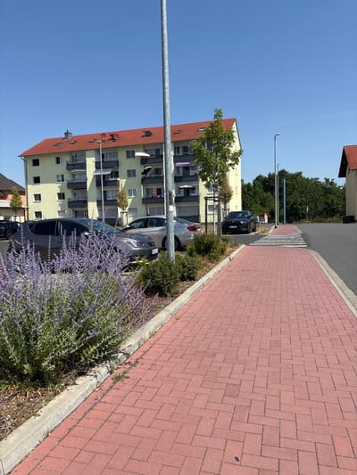 The image shows a street scene in Elsenfeld, Germany, under a clear blue sky. The perspective is from ground level, looking upwards and slightly to the right.
In the foreground, a paved walkway made of red brick is prominently featured, laid in a herringbone pattern. To the left of the walkway, there is a narrow strip of greenery with flowering plants, primarily a large bush with purple blossoms, and some dry grass. A concrete curb separates the walkway from the natural ground.
Behind the greenery, a light yellow apartment building with a red tiled roof is visible. The building has multiple floors with balconies and windows. Some laundry items and satellite dishes are visible on the balconies. Two cars are parked in front of the building, one is a dark grey sedan and another is a silver car partially visible.
Further back, a street with a pedestrian crossing is visible. Several streetlights stand along the street. A dense line of green trees forms the background. The sun is high in the sky, indicating it is daytime. No people are visible in the image. There is some text on the license plate of the dark grey car, but it is not clearly legible. The overall impression is of a quiet residential area on a sunny day.
