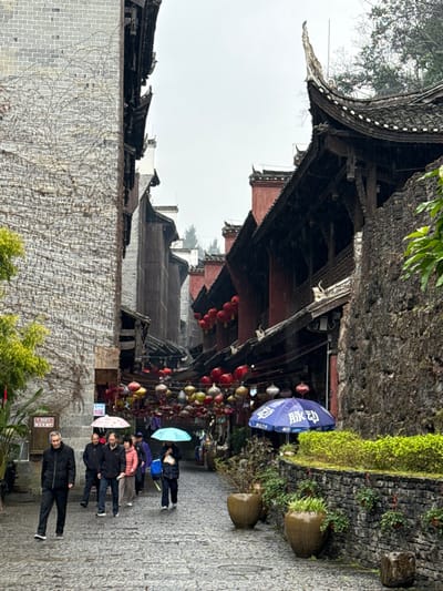 The image displays a narrow, wet cobblestone street flanked by traditional Chinese architecture in Pengshui Miao and Tujia Autonomous County, China. The environment is overcast, indicating recent or ongoing light precipitation, as evidenced by reflective wet surfaces and individuals using umbrellas.
On the left, a tall building constructed from grey brick with visible mortar lines rises vertically, its surface partially covered by dried vine growth. Elements of dark wood and curved eaves are visible in its upper sections. On the right, a sequence of multi-story traditional buildings features dark wooden facades, prominent red structural pillars, and distinctive curved, tiled roofs. The closest structure on the right exhibits an ornate roof finial and is bordered by a low, rough-hewn stone wall topped with green shrubbery and potted plants in large, earthen-toned vessels.
Numerous lanterns, predominantly red but also multi-colored, are strung across the street, suspended between the buildings at varying heights. A large blue advertising umbrella, bearing white Chinese characters "脉动" (Mài Dòng), is open on the right side of the street.
Approximately seven to eight individuals are walking on the wet cobblestone pavement in the middle ground. Several are holding open umbrellas, including one light blue and one white with a partial red logo. All individuals are dressed in dark, practical outerwear. Sparse green foliage is visible on the far left and along the stone wall on the right. The street recedes into the background, revealing more traditional buildings beneath an overcast sky.