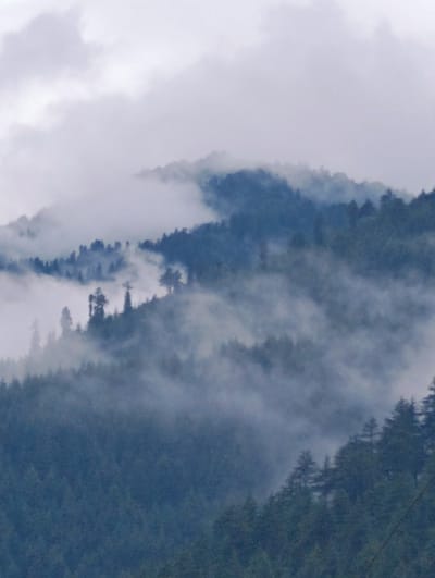 The image depicts a misty mountain landscape with dense evergreen trees. The mist obscures visibility, creating a layered effect where the outlines of the mountains and trees are softened. The sky is overcast with thick clouds. This scene is located in the city of Siyal, India, which is known for its mountainous terrain and frequent atmospheric conditions that include fog and mist. No people or specific man-made structures are visible in this particular frame, suggesting a natural, remote environment.