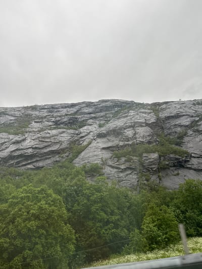 The image shows a steep, gray rock face with patches of green vegetation growing from crevices. The rock surface is textured with vertical lines and rough surfaces. To the right of the rock face, there is a dense canopy of lush green trees. The sky in the background is overcast and appears white or light gray, suggesting a cloudy or foggy day. The scene is oriented vertically, implying the photo was taken looking upwards or sideways at a dramatic landscape. There is a hint of a white frame or structure on the far right edge of the image, possibly indicating the viewpoint is from a window or an elevated platform. The overall impression is of a rugged, natural environment, likely in a mountainous or fjord region given the location context of Fjæra, Norway. No people or specific objects are clearly visible, and no text is present. The weather appears cool and possibly damp.