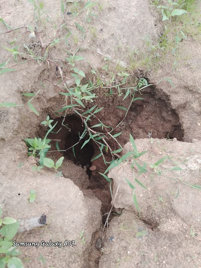 The image depicts a natural sinkhole in the ground, filled with dark soil. The sinkhole is surrounded by dry, sandy earth and sparse vegetation, including grasses and small plants. The texture of the soil is visible, with some clods and loose grains. The lighting suggests an outdoor environment, possibly during the day. A small piece of weathered wood or a broken branch is visible in the lower left portion of the frame. The bottom of the sinkhole is dark and appears to extend deeper into the ground. The overall scene is of an unpaved, natural area in Angwan Hausawa, Nigeria.