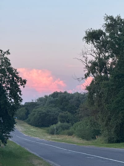 The image shows a road winding through a rural landscape under a sky tinged with pink and blue hues. On the left, a large tree with dark green foliage partially obstructs the view. The road itself is paved with asphalt and marked with a white dashed line. To the right of the road, dense green trees and bushes form a backdrop, with a large, leafy tree dominating the foreground on this side. In the distance, a line of trees stretches across a gently sloping hill. Above the trees, large, fluffy clouds are illuminated with a vibrant pink color, suggesting either sunrise or sunset. The overall scene depicts a peaceful, natural environment in the Нёманскі сельскі Савет, Belarus, during twilight. There are no people or animals visible in the image.