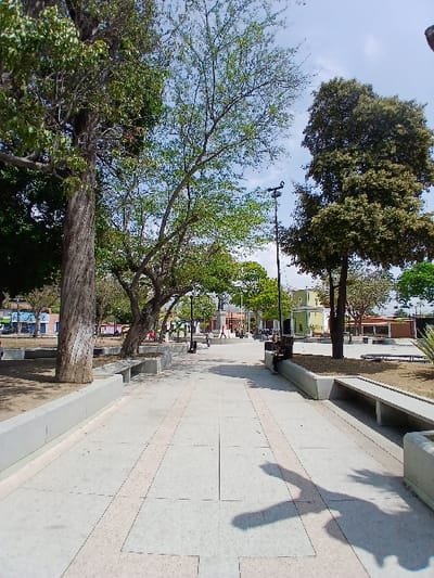 The image displays a sunlit public plaza in San Joaquín, Venezuela. A wide, light-colored concrete paver pathway extends from the foreground into the distance, featuring two parallel lighter-toned strips running down its center. Both sides of the pathway are bordered by low, grey concrete planters and integrated concrete benches. Numerous trees with green foliage line the pathway and fill the surrounding park area; a large tree with a textured, light-colored trunk is prominent on the left, and a dense, dark green tree stands on the right. A black, multi-armed streetlight is visible on the right side of the path.
In the middle ground, one individual is seated on a concrete bench on the right side of the pathway, facing away from the camera. Several additional human figures are present in the distant background, within a broader plaza area where a statue on a pedestal is discernible. Beyond the plaza, various single and two-story buildings with colored facades (blue, yellow, green, white) are visible. The scene is illuminated by strong natural daylight, indicated by long shadows cast across the pathway, including a prominent irregular shadow in the lower right foreground. The sky is clear blue with sparse white clouds.