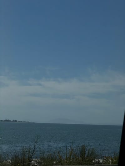 A wide shot captures a tranquil scene of the ocean under a partially cloudy sky. The water is a deep blue, with light glinting off its surface. In the distance, a hazy shoreline with trees is visible, suggesting a coastal area. The foreground is dominated by dry, wispy grasses and rocks. The image appears to be taken in the city of Delta, Canada, given the characteristic coastal landscape. There are no people or animals visible in the frame, and no discernible actions or interactions are taking place. The overall impression is one of natural beauty and serene isolation.