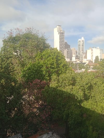 An aerial perspective image captured in the city of Lomas de Zamora, Argentina, displays a predominantly green urban landscape under a clear sky with scattered white clouds. The foreground features the upper edge of a dark, textured rooftop or structure, partially visible at the bottom left. The midground is dominated by a dense canopy of varied trees, primarily bright green, with one prominent tree in the left-center exhibiting reddish-pink foliage or blossoms. These trees largely obscure the ground level and lower structures. In the background, an urban skyline is visible, characterized by multiple high-rise buildings. The most prominent is a tall, slender white skyscraper with a distinctive multi-tiered top structure, located slightly left of the image's vertical center. Other lighter-colored high-rises and smaller buildings are visible to its right and behind it, indicating a built-up area beyond the tree line. No individuals or discernible actions are depicted.