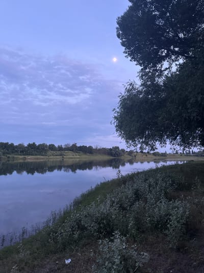 The image depicts a tranquil scene at dusk or dawn along a narrow body of water, likely a canal or river, in Coșnița, Moldova. The water's surface is smooth and reflective, mirroring the sky and the lush greenery that lines its banks. On the left side of the frame, large trees with dense foliage dominate, their branches extending towards a pale, overcast sky. A faint, luminous circle in the sky suggests the presence of the moon or a distant celestial body, adding a touch of ethereal beauty to the twilight atmosphere.

The right bank of the water is covered in thick vegetation, with a variety of plants and shrubs creating a natural barrier. A small piece of white litter is visible on the grassy bank, a solitary sign of human presence amidst the natural landscape. The overall impression is one of peace and stillness, with the soft, diffused light contributing to a serene and contemplative mood. The reflected trees and sky create a symmetrical effect, enhancing the sense of calm. The time of day, indicated by the sky's color and the moon's visibility, suggests either early morning or late evening, a time often associated with quietude and natural beauty.