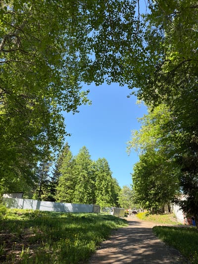 The image shows a view looking up through a canopy of trees, revealing a clear blue sky. The trees frame the sky, creating a natural opening. A pathway or road stretches into the distance on the right side of the image, lined with grass and some structures or buildings. The fence is also visible. The photograph suggests a location with established greenery and a combination of natural and built elements.
The image does not include information about Oreshniki, Russia.