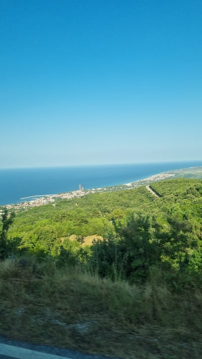 This is an aerial, rotated, landscape-oriented photograph of a coastal area with a bright blue sky on the left and a dense green forest on the right. The ocean occupies the mid-left of the image, transitioning to a hazy horizon. Along the coastline, nestled between the forest and the sea, is a small town with white and red-tiled buildings. A road snakes through the trees, and a pier or breakwater extends into the water from the town. The forest is lush and verdant, with some patches of dry grass and rocky terrain visible on the right side of the image, possibly indicating a hillside. The sun appears to be bright, casting shadows and illuminating the scene, suggesting it is daytime. The overall impression is one of a serene coastal village in a natural setting. There is no visible text in the image.