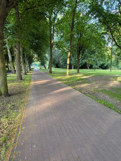 The image depicts a paved walkway in a park, lined with mature trees on the left and a grassy area with more trees on the right. The walkway, made of dark rectangular bricks, recedes into the distance. Sunlight casts dappled shadows across the path. There are faint yellow specks scattered along the edge of the walkway and on the grass. In the far distance, there appears to be a streetlamp and possibly a few figures walking, but they are not distinct. The environment is green and appears to be in good condition, suggesting a well-maintained urban park. The image was captured in the city of Goleniów, Poland.