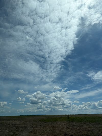 The image depicts a wide, flat expanse of dry grassland under a dynamic sky filled with clouds. The foreground is dominated by a field of light brown, dry grass and some patches of green. In the middle ground, a thin, dark line of trees or distant vegetation stretches horizontally across the horizon, punctuated by faint structures. The sky occupies the majority of the frame and is a mix of bright blue and dense, textured white clouds. The clouds are varied, with some appearing fluffy and cumulus-like, while others are more wispy and spread out, suggesting a breezy day. The lighting indicates it is daytime, with sunlight illuminating the clouds from above and to the right, casting a bright glow. There are no people, animals, or vehicles visible in the scene. The overall impression is one of a vast, natural landscape under a dramatic sky, consistent with an open field in a rural area. Based on the provided location, this scene is situated in or around the city of Ol'gokhta, Russia, characterized by its agricultural or natural open spaces.