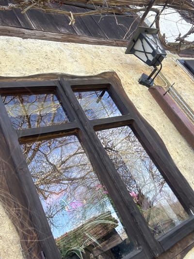 An exterior shot shows a textured, light-colored building facade with a multi-pane window framed in dark wood. The window reflects a bare tree and the sky. To the left of the window is a lamp attached to the wall and dry vines. The image's location in Gorno Trape, Bulgaria, cannot be determined from the visual information alone.
