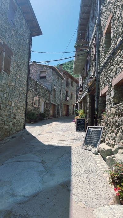 This is a vertical, eye-level, outdoor, medium shot of a narrow, stone-paved street in the village of Setcases, Spain. The buildings lining the street are made of rough-hewn stone, with wooden doors and shutters. Overhead wires crisscross the sky, which is a bright, clear blue, suggesting it's a sunny day.

In the foreground, a chalk sign on an easel advertises "Caramels Naturals pels Refechts i mal de gola" (Natural Caramels for Sore Throats and Coughs) and lists different types of honey, including "Mel de Ca la Nurla," "Mel de Milflors," and "Mel d'Eucaliptus." Another, larger sign is partially visible behind it, with text including "PROPIETATS" and "SETCASES." A small potted plant with pink flowers sits near the sign.

The street curves into the distance, with more stone buildings on either side. The architecture suggests a traditional mountain village setting. The light indicates it's likely daytime, possibly late morning or early afternoon, with distinct shadows cast on the ground. The overall atmosphere is peaceful and rustic. There are no people visible in the image.