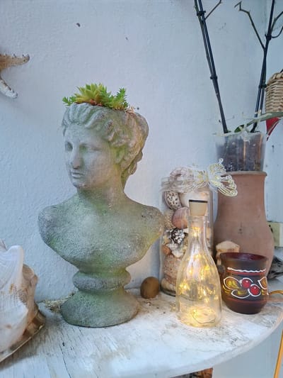 The image captures a still-life scene in what might be a garden or patio setting in Gulrypsh, Abkhazia. A weathered stone bust of a classical figure sits prominently on a whitewashed wooden shelf. The bust's head is adorned with small succulent plants. To the left of the bust is a large seashell. To the right, there's a glass jar filled with seashells, a decorative light-filled bottle, a painted ceramic mug, and a terracotta pot containing a plant. In the background, the white wall and the presence of the terracotta pot and plant suggest an outdoor or semi-outdoor setting, possibly a garden in Gulrypsh.