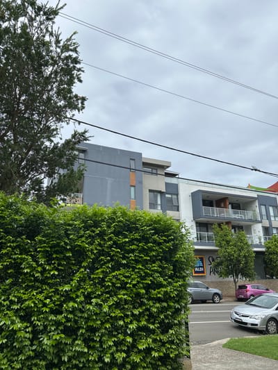 A partially obstructed view shows a multi-story building under a cloudy sky. Power lines run diagonally across the top left. A large, vibrant green bush dominates the right side, obscuring part of the building. Further to the left, another tree with thinner leaves is visible. Parked cars line the street in front of the building; one is silver, another is pink. A sign reads "SMART ANAL.." above an "ALDI" logo. The building is modern, with grey and white sections and some balconies.
