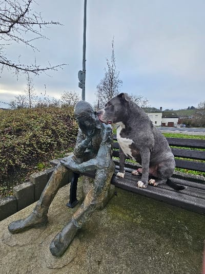 In Bech-Kleinmacher, Luxembourg, a weathered, bronze-colored statue of a seated human figure with its head bowed is positioned on the left side of a dark wooden slatted bench. The statue exhibits green verdigris or moss. To its right, a grey American Bully type dog with a white chest and white paws is seated on the same bench, actively licking the head region of the statue. Behind the bench, dense green and brown shrubbery forms a midground, partially obscuring a tall, grey lamppost located between the statue and the dog. In the background, under an overcast grey sky, light-colored buildings with dark roofs are visible, followed by gently sloping hills or vineyards. The immediate foreground consists of a concrete or paved surface exhibiting areas of moss or algae growth. Bare tree branches are visible against the sky on the far left.