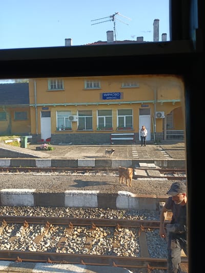 This image shows a view from a train window looking out at a small train station in Mirkovo, Bulgaria. The station building is yellow with a tiled roof and several windows. There is a blue sign on the building with Cyrillic and Latin text that reads "МИРКОВО MIRKOVO". An air conditioning unit is visible on the exterior wall.
In front of the station, there is a woman in a white shirt and dark pants standing on a paved area next to the train tracks. Two dogs are also present on the tracks; one is a light brown, medium-sized dog standing near the woman, and another is a larger, darker brown dog further down the tracks.
To the right of the station, a man wearing a cap, t-shirt, and dark pants is seen from the chest up, with his arm extended. He appears to be looking down at something. The train tracks are laid on a bed of gravel, with concrete ties and metal rails.
The scene suggests a daytime setting, likely a sunny day given the clear blue sky visible in the background and the shadows cast by the objects and people. The overall impression is a quiet, possibly rural, train station.