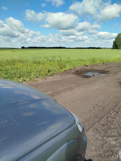 The image depicts a rural scene with a car parked on a dirt road. The foreground shows the hood and headlight of a dark-colored car, suggesting it is parked or has just arrived. The road is muddy with visible tire tracks and a puddle of water, indicating recent rain or damp conditions.
Beyond the road, a vast, green field stretches to the horizon, possibly a crop field or pasture. A line of trees forms a dark border along the edge of the field, with more trees visible on the right side of the image. The sky is a vibrant blue, dotted with fluffy white clouds, suggesting a pleasant, partly cloudy day.
The overall impression is one of a peaceful, natural setting in the countryside. The time of day appears to be late morning or early afternoon, given the bright sunlight and the shadows cast. The location is identified as Бигила, Russia. There is no visible text in the image. The scene evokes a sense of calm and openness, characteristic of rural landscapes.