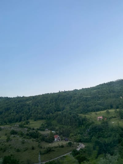 A wide shot captures a serene, hilly landscape under a clear, pale blue sky. The terrain is covered with lush green trees and vegetation, with a few scattered houses nestled within the rolling hills. The perspective is from a slightly elevated position, looking down and across the verdant slopes. The image appears to be taken in the vicinity of Šavnik, Montenegro, a region known for its natural beauty and mountainous terrain. No people or animals are visible in the frame. The scene is peaceful and untouched by human activity, showcasing the raw beauty of the natural environment.