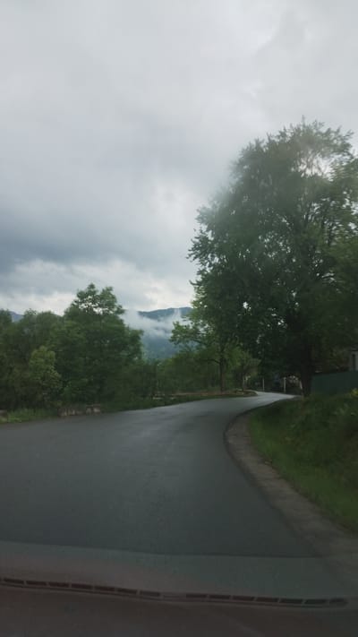 The image shows a paved road curving slightly to the right. Lush green trees line the left side of the road, with a dense forest visible in the background. The sky is overcast with heavy grey clouds. A mountain peak shrouded in fog can be seen in the distance through the trees. The photo appears to be taken from inside a vehicle, with a portion of the vehicle's interior visible on the right side of the frame. The location is Lazeshchyna, Ukraine, as stated.