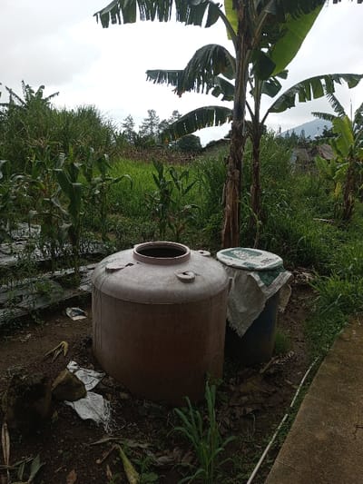 This image depicts an outdoor agricultural scene in Kondha, India, under an overcast sky. In the foreground, a large, cylindrical, tan plastic water tank, approximately 1.5 meters tall, stands on loose brown earth. Its domed top features an open circular access port and several smaller, sealed protrusions. To the right of this tank, a smaller blue barrel, roughly 0.8 meters tall, is partially visible, covered by a white and green burlap sack bearing the text "BIYAN." The ground around these objects includes sparse green vegetation, dry leaves, scattered white fabric, and small rocks. A narrow concrete edge runs along the lower right of the frame.

The midground features an agricultural plot with rows of young corn stalks, some emerging from black plastic sheeting used as mulch. Tall green grasses and weeds are interspersed throughout this area. Several banana trees with large, drooping leaves are prominent, with one tree featuring a thick, textured trunk positioned slightly right of center.

The background reveals a rudimentary fence constructed from vertical wooden sticks. Beyond this, dense green foliage, distant trees, and indistinct structures are visible. A faint outline of mountainous or hilly terrain is present on the horizon beneath the cloudy sky. No individuals or active human interventions are depicted in the scene.