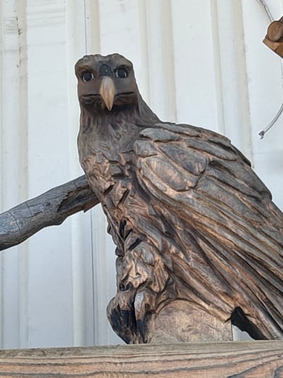 A close-up, low-angle shot captures a carved wooden eagle perched on a branch. The eagle is intricately detailed, with feathers, talons, and a fierce gaze. The wood has a weathered appearance, with rich brown and gray tones. The background is a light-colored, corrugated wall, possibly made of metal or siding, with vertical lines. The overall impression is of a rustic and artistic display. The location is not specified in the image or surrounding context.