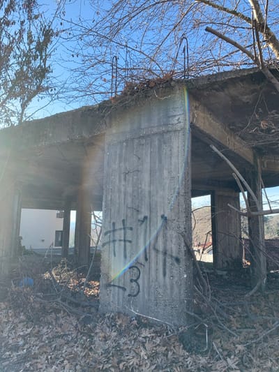 The image displays a dilapidated concrete structure, likely an abandoned building or ruin, viewed from a low angle against a clear blue sky. The concrete surfaces show significant weathering, cracks, and horizontal striations, possibly from formwork. Several bent rebar rods are exposed and protrude from the top edge of a concrete slab on the left.
Bare, leafless tree branches intertwine with and surround the structure, some extending into its various openings, which appear to be windows or doorways. Dried leaves are scattered on the branches and concrete surfaces, and cover the ground visible through the structure's lower sections.
On a prominent concrete beam in the foreground, black spray paint graffiti spells out the characters "#13". Bright sunlight illuminates the scene, casting a strong glare and producing a rainbow-colored lens flare across the middle of the image, suggesting the sun is low in the sky or positioned near the camera's angle. No people or activity are present. The overall scene conveys a sense of abandonment and decay, where nature is gradually reclaiming the man-made structure.