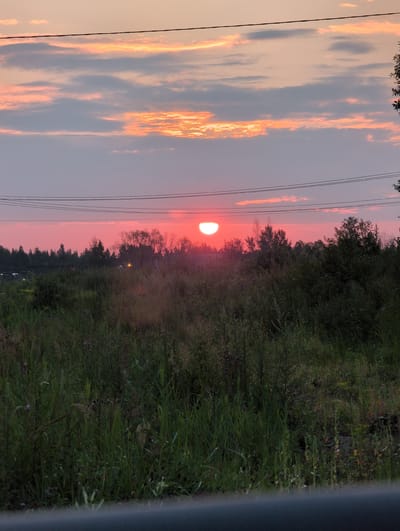 The image depicts a rural landscape at sunset, possibly on the outskirts of the village of Pankovka, Russia. A vibrant orange sun, partially obscured by the horizon, casts a rosy glow across the sky. Wispy clouds are tinged with pink and orange, creating a dramatic sky. In the foreground, a dense field of green grass and wildflowers stretches across the scene. A line of silhouetted trees forms a dark border against the horizon. Overhead, power lines cut across the sky, hinting at the proximity of civilization. The overall impression is one of natural beauty and tranquility, characteristic of a rural sunset.